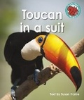 Cover: Toucan in a suit - Raintree