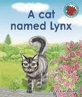 Cover: A cat named Lynx - Raintree