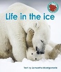 Cover: Life in the ice - Raintree