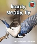 Cover: Ready, steady, fly - Raintree