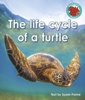 Cover: The life cycle of a turtle - Raintree