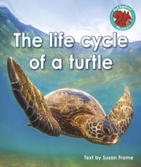 Enlarge image Cover: The life cycle of a turtle - Raintree