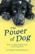 Cover: The Power of Dog - ebookpartnership.com