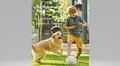 Cover: The Adventures of Timmy and Rusty (Timmy and Rusty Books, #1) - Timmy and Rusty Books