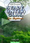 Cover: Stadt unter Glas - Feuertanz-Verlag