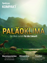 Abbildung von: Spektrum Kompakt - Paläoklima - Spektrum der Wissenschaft