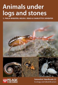 Abbildung von: Animals under logs and stones - Pelagic Publishing
