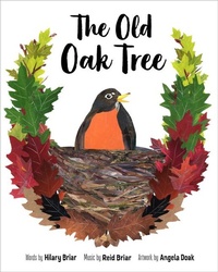 Enlarge image Cover: Old Oak Tree - Nimbus Publishing Ltd