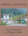 Cover: A Prison Anthology - Covenant Concepts