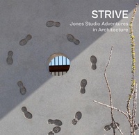 Enlarge image Cover: Strive - Oscar Riera Ojeda Publishers Limited