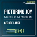 Cover: Picturing Joy - Flashpoint