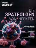 Bild: Spektrum Kompakt - Die Spätfolgen von Infekten - Spektrum der Wissenschaft