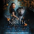 Cover: Due North - Tantor Audio