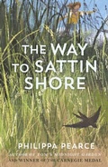 Cover: Way to Sattin Shore - OUP Oxford