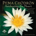 Cover: Pema Chodron 2024 Calendar - Amber Lotus
