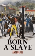 Cover: Born a Slave: Anthology - e-artnow