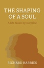 Cover: The Shaping of a Soul - Christian Alternative