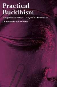 Enlarge image Cover: Practical Buddhism - Aeon Academic