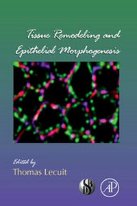 Abbildung von: Tissue Remodeling and Epithelial Morphogenesis: Volume 89 - Academic Press