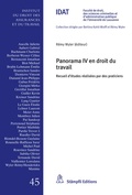 Cover: Panorama IV en droit du travail - St&auml;mpfli Verlag AG