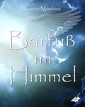 Cover: Barfu&szlig; im Himmel - Feiyr