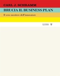 Cover: Brucia il business plan - Luiss University Press