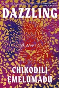 Cover: Dazzling - Harry N. Abrams