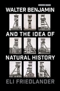 Cover: Walter Benjamin and the Idea of Natural History - Stanford University Press