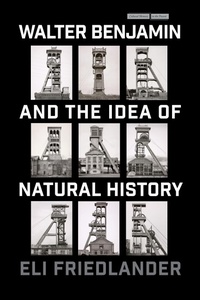 Enlarge image Cover: Walter Benjamin and the Idea of Natural History - Stanford University Press