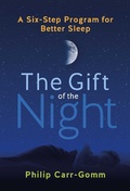 Cover: The Gift of the Night - Simon + Schuster LLC
