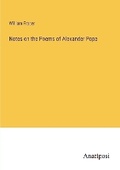 Cover: Notes on the Poems of Alexander Pope - Anatiposi Verlag