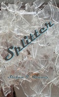 Cover: Splitter - Books on Demand