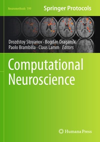 Abbildung von: Computational Neuroscience - Springer