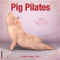 Abbildung von: Pig Pilates 2024 12 X 12 Wall Calendar - Willow Creek Press