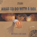 Cover: What to Do with a Box - Creative Paperbacks