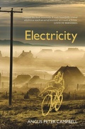 Cover: Electricity - Luath Press