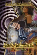 Cover: Levi's Labyrinth; An Origin Story - Vantage Point Media