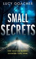Cover: Small Secrets - Brilliance Audio