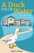 Cover: A Duck Out of Water - New Generation Publishing