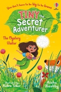 Cover: Tiny the Secret Adventurer: The Mystery Visitor - Usborne Publishing Ltd