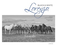 Abbildung von: Lorenzo Black & White - Actes Sud