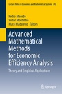 Cover: Advanced Mathematical Methods for Economic Efficiency Analysis - Springer