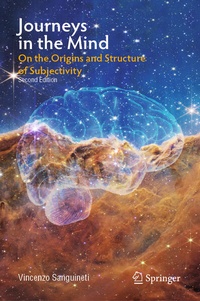 Enlarge image Cover: Journeys in the Mind - Springer