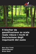 Cover: Il biochar da gassificazione su scala reale riduce i rischi di lisciviazione degli inquinanti del suolo - Edizioni Sapienza