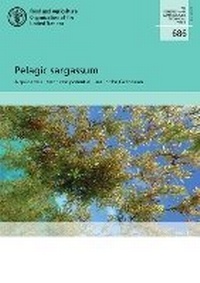 Abbildung von: Pelagic sargassum - Food & Agriculture Organization of the United Nations (FAO)