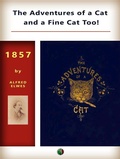 Cover: The Adventures of a Cat, and a Fine Cat Too! - Animals-Domestic