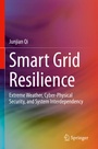 Cover: Smart Grid Resilience - Springer