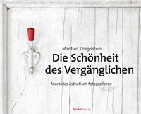 Abbildung von: Die Schönheit des Vergänglichen - dpunkt