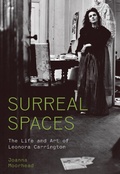 Cover: Surreal Spaces - Princeton University Press
