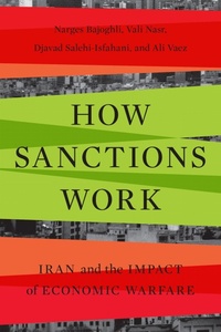 Enlarge image Cover: How Sanctions Work - Stanford University Press